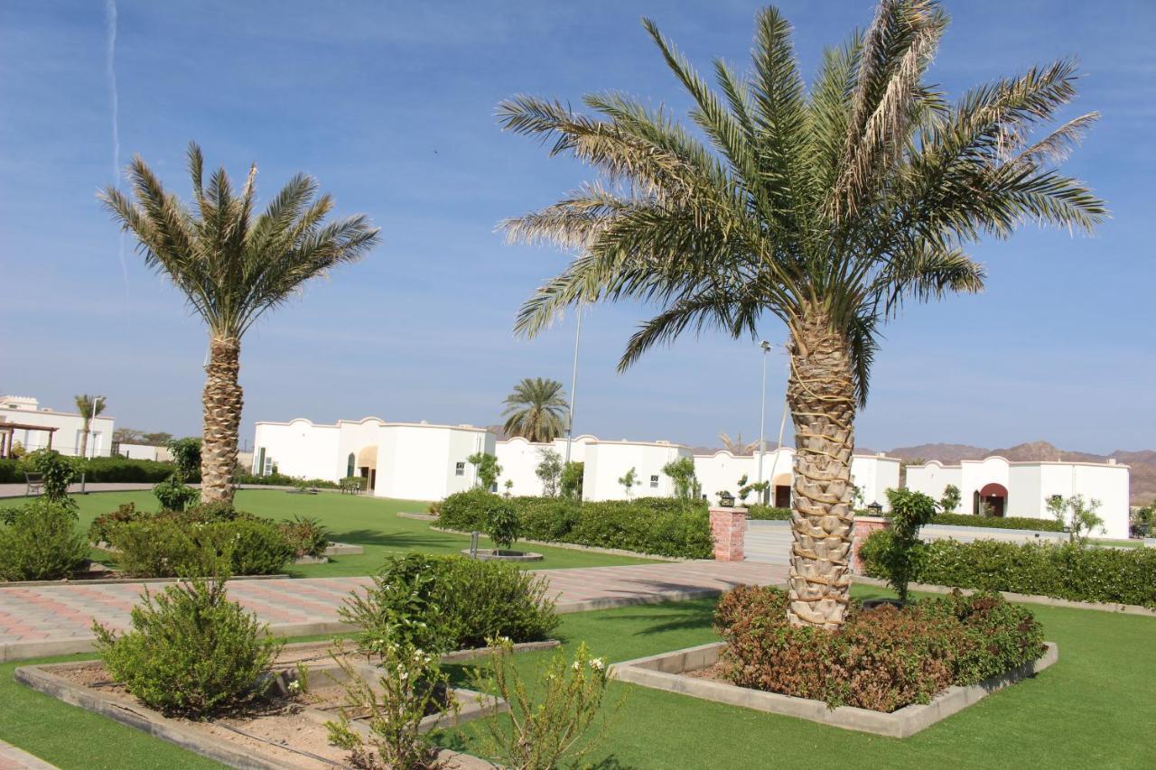 איברה Saj Farm Inn מראה חיצוני תמונה